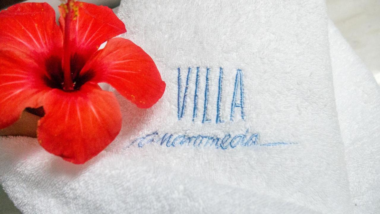 Villa Andromeda Ханя Екстериор снимка